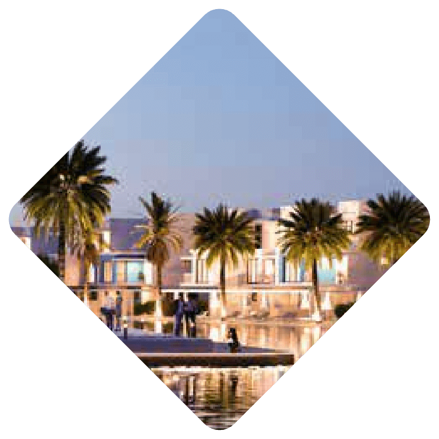 header image 3